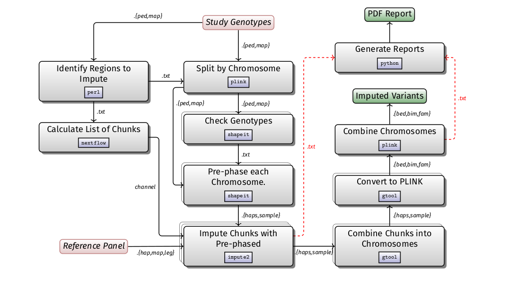 SNP imputation workflow