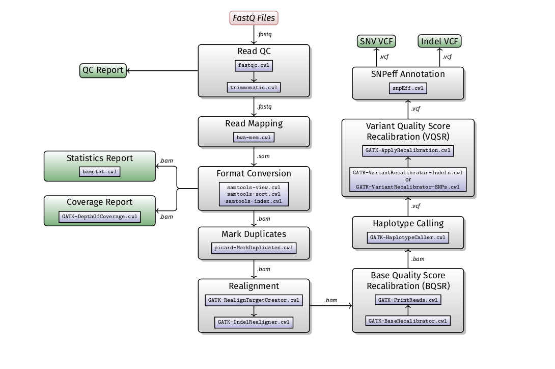 Whole genome / exome workflow